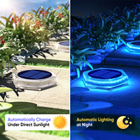 Chaud extérieur étanche IP68 solaire alimenté chemin escalier lumière jardin décoration balcon clôture cour bleu lumière LED pont étape lumières