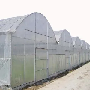 Estufa agrícola comercial filme plástico de túnel econômico de tomate