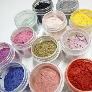 Lote de pigmentos de Mica en polvo para suelos de resina epoxi, pigmento de perla de Mica Natural de 200 colores, tinta de impresión, pintura de cuero, OEM