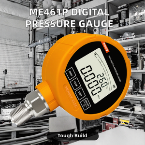 Jauge numérique d'air et d'huile ME461P, précision 0,1 % 0,2 % 0,5 %, en acier inoxydable 316L, avec diaphragme et rétroéclairage, compteur d'eau YW-100WYLB - Product Image 2