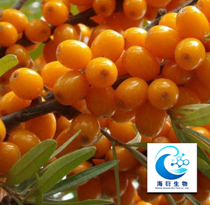 Оптовая цена: Натуральный органический пищевой экстракт облепихи сублимированный, 99%, вакуумная упаковка, экстракция растворителем, в бочках - Product Image 3