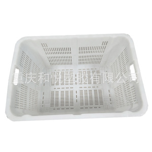 Caja de Plástico Número 3 para Frutas y Verduras, Blanca, Ventilada, para Transporte y Almacenamiento, Tamaño Estándar, Material PEPP - Product Image 1