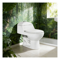 WC monobloc 3/6L à économie d'eau, design siphonique à double chasse, 300 mm, pour l'Amérique latine