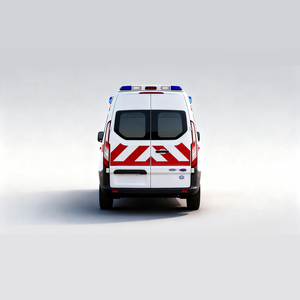 TENGLONG <span class=keywords><strong>Ambulance</strong></span> Diesel à Faible Coût d'Entretien et Haute Durabilité pour Usage Hospitalier - Product Image 4