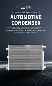 Condenseur de climatisation pour SUZUKI GRAND VITARA <span class=keywords><strong>JLS</strong></span>/JLX OEM95310-65D10/65D11 - Product Image 5