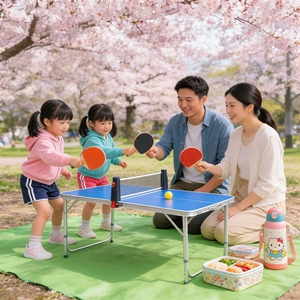 Tavolo da Ping Pong per Esterni Resistente alle Intemperie con Telaio in Acciaio Zincato per Tutti i Climi - Product Image 2