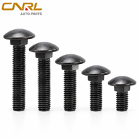 RuiLi Boulon à tête bombée en acier inoxydable 304, col carré, oxyde noir, M4 M5 M6 M8 M10 M12, vente en gros usine