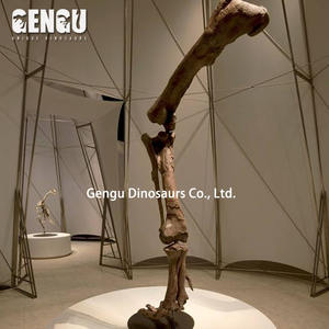 حفريات عظمية ديناصور غاسوسورس هيكل عظمي لديناصور معدني داخلي لمراكز التسوق والمطارات ومراكز الرعاية النهارية ومدارس رياض الأطفال - Product Image 2