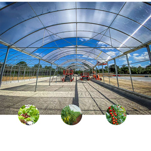 Chuyên nghiệp lớn bền vững Polycarbonate nhà kính Kinh Tế giá cho hiệu quả Cà Chua Rau diếp màu xanh lá cây rau - Product Image 4