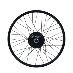 Kit de <span class=keywords><strong>moteur</strong></span> de moyeu Bafang <span class=keywords><strong>Roue</strong></span> électrique 8fun FM G020.350.D 36v <span class=keywords><strong>Avant</strong></span> Bafang 350w <span class=keywords><strong>Moteur</strong></span> de moyeu à engrenages <span class=keywords><strong>pour</strong></span> vélo électrique - Product Image 6