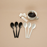 Ensemble de couverts jetables biodégradables CPLA Greenday personnalisables – Cuillères à café et à thé, agitateurs pour fêtes et événements culinaires
