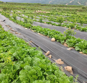 Toile <span class=keywords><strong>anti</strong></span>-mauvaises herbes pour l'agriculture, perméable à l'eau, <span class=keywords><strong>anti</strong></span>-racines, tissu pour couverture de sol en serre, maille - Product Image 6