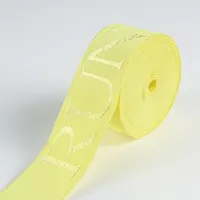 Benutzer definierte Luxus elastische Jaquaerd Bänder Bedrucktes Gurtband Gummiband für Unterwäsche