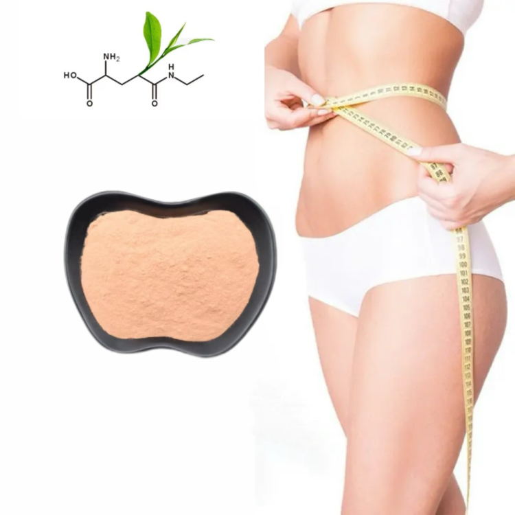 Pure Natural Fermentation Green Tea Extract 98% L-theanine 99% Nutritional Enhancer L-theanine Water Soluble Powder