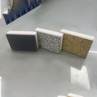 Coffrage permanent Panneau isolant Eps Xps Moulage de mousse de ciment Panneaux sandwich pour murs extérieurs en béton