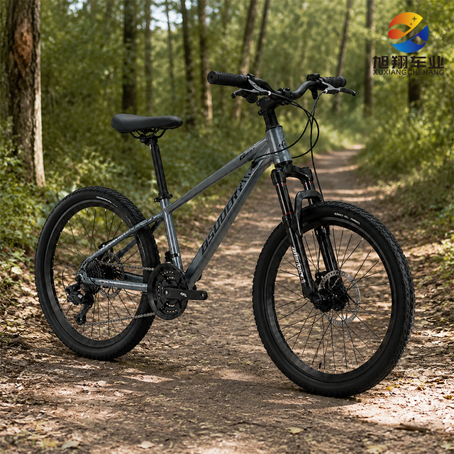 Wholesale 26 Inch 21 Speed Aluminum Alloy Mountain Bike Disc Brake Adult Off Road High Quality Factory Direct Mtb
