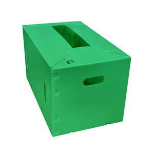 Geri dönüşümlü PP oluklu plastik meyve ambalaj kutusu PP plastik katlanır taşıma kutusu sebze saklama kutusu - Product Image 6