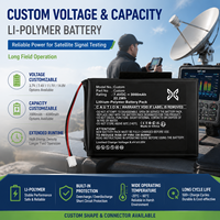 Batterie Li-Polymère Personnalisée pour Détecteur de Signal SAT Meter – Batteries de Remplacement pour Satlink WS-6902, 6905, 6979, 7000, 7005, F03409