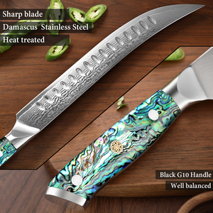 10 "pouces De Luxe En Acier Damas Long Couteau À <span class=keywords><strong>Jambon</strong></span> Japonais En Acier VG-10 Poitrine Tranché Rasoir Sharp Cuisine Chef Couteau Abalon Naturel - Product Image 4
