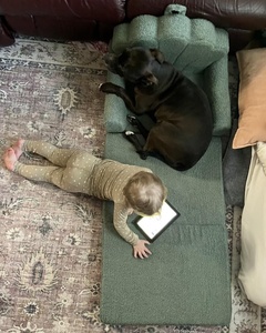 A buon mercato <span class=keywords><strong>per</strong></span> i bambini pieghevole divano letto modulare Kawaii lettino <span class=keywords><strong>per</strong></span> bambini bambino pieghevole Mini sedia letto <span class=keywords><strong>per</strong></span> bambini bambino Sprog camera - Product Image 3