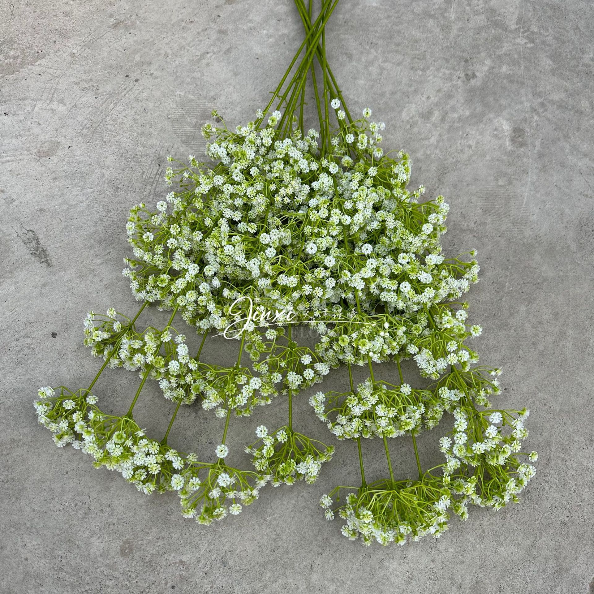 Blanc étoilé à deux branches, 130 cm