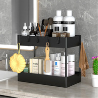 Étagère de rangement coulissante double couche pour évier, boîte de rangement de cuisine, support multifonctionnel de comptoir pour assaisonnements