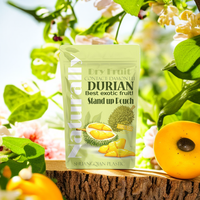 Emballage OEM en sachet stand-up pour fruits secs et durian, avec fermeture éclair, impression numérique