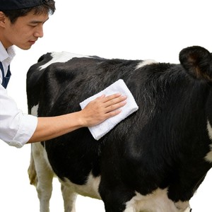 Serviette de nettoyage carrée en coton pur, poids moyen, absorbante, pour usage à la ferme et au ranch - Product Image 2
