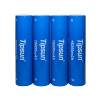 Batterie LiFePO4 Tipsun IFR32140 3.2V 15Ah 48Wh, cellule cylindrique au lithium à cycle long pour scooter électrique