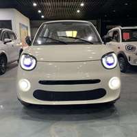 Voiture électrique écologique - Véhicule à énergie nouvelle à longue autonomie, Véhicule électrique très demandé pour la famille