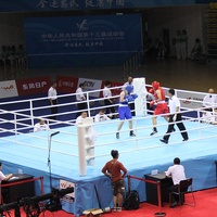 Toile de ring de boxe professionnelle approuvée par l'IBA, Wesing