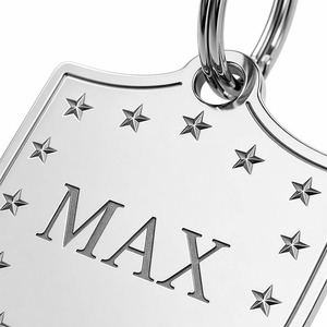 Prix de gros : Accessoires de collier modernes imitation antique pour chats et chiens, et plaques d'identification minimalistes vierges pour chiens, gravables avec nom et téléphone. - Product Image 5