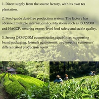 Wholesale New Matcha Halal Certified Green Tea Powder KiKi MATCHA Ceremonial Grade Bulk Box Ready to Ship