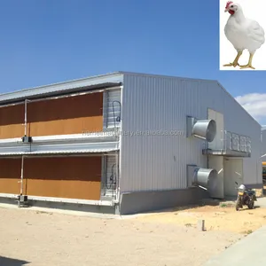 자동 닭 층 농장 가금류 육계 집 육계 헛간 농업 장비 닭 집