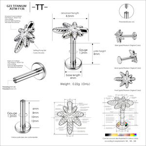 Clous d'oreilles labret en titane plaqué or ASTM-F136 avec zircon, bijoux de corps en forme de feuille pour mariage, fiançailles et piercing corporel - Product Image 6