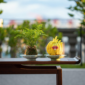 Plato de cerámica con forma de flor, diseño de flor de ciruelo en porcelana, para bandeja de té y exhibición de cítricos. - Product Image 2