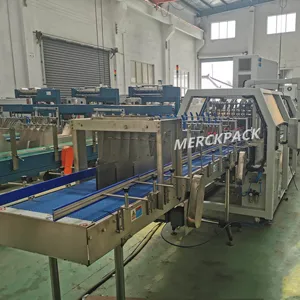 Automatic High Speed One Piece Film Shrink Stretch Wrapping Packing Machine for Bottled Water Drink Production Line