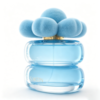 Atomiseur de parfum de voyage portable, flacon en verre rechargeable 30ml 50ml, petite forme unique pour vaporisateur de parfum cosmétique, vente en gros