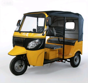 <strong>Compact</strong> and Stylish Fuel - Powered Passenger <strong>Tricycle</strong> for City Streets - Product Image 3