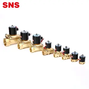 Solenoid Valve 12v SNS 2W Series Normally Closed Electric 220V 24V 12V Brass Water Solenoid Valve With G/NPT Thread