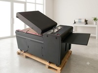 Machine de recyclage de poudre DTF sans fumée de 24 pouces avec purificateur intégré et sécheur de polymérisation chauffant pour imprimante DTF à double tête I3200