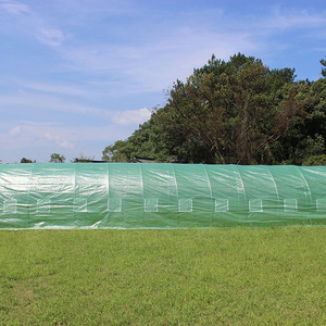 TLSP113 maison type haute tunnel de <span class=keywords><strong>plante</strong></span> d'agriculture étagères <span class=keywords><strong>pour</strong></span> polytunnel greenhouse-36m2 protégé contre les UV - Product Image 3