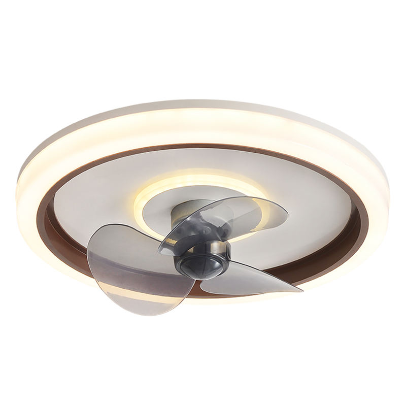 สีน้ำตาล