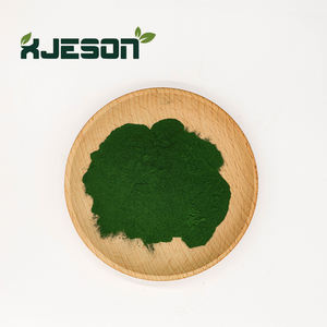 Suministro OEM de Extracto Orgánico de Chlorella, Chlorella Vulgaris, Polvo de Chlorella de Grado Alimenticio, Extracto Herbal, Polvo Verde, Empaquetado en Tambor - Product Image 3