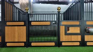 Bán Hot Chuyên Nghiệp Mật Độ Cao Nhúng Nóng Mạ Kẽm Tre 3M 3.5M 3.6M 4M Ngựa Chuồng Phân Vùng - Product Image 3