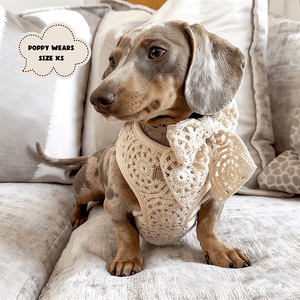 Kabel rajut desainer disesuaikan leher rompi <span class=keywords><strong>Harness</strong></span> anjing grosir tenun ringan pengekang hewan peliharaan untuk anjing nyaman jalan-jalan - Product Image 4