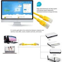 Mendukung kustomisasi kabel komunikasi jaringan Plug UTP Cat5e Cat6 Cat6a RJ45 kualitas tinggi
