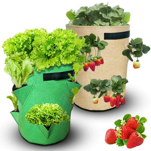 Bolsas de cultivo de fresas de tela no tejida verde y roja, maceta colgante para jardinería, turba, suplementos de Coco - Product Image 1