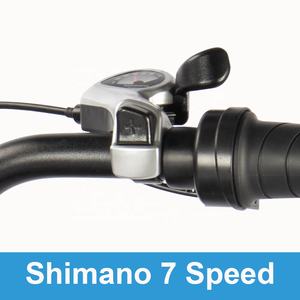 Almacén listo Stock V20 Bicicletas eléctricas Bicicleta eléctrica gruesa 48V 250W 750W Fatbike Ebik Bicicleta eléctrica barata Bicicleta de montaña eléctrica - Product Image 3