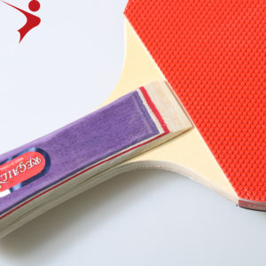 Huong — jeu de Ping-pong de Tennis de Table, ensemble pour deux raquettes, vente directe par les produits - Product Image 5